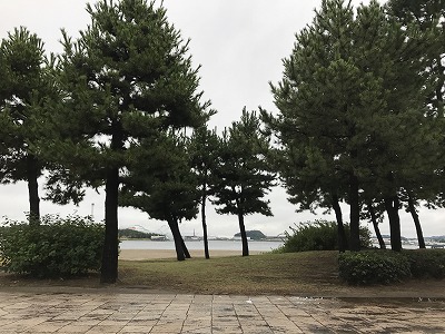 第1回横浜（YOKOHAMA）ビーチサイドマラソン海の公園