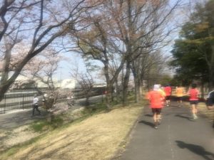 陸王杯第34回行田市鉄剣マラソン・ハーフマラソン６３分後